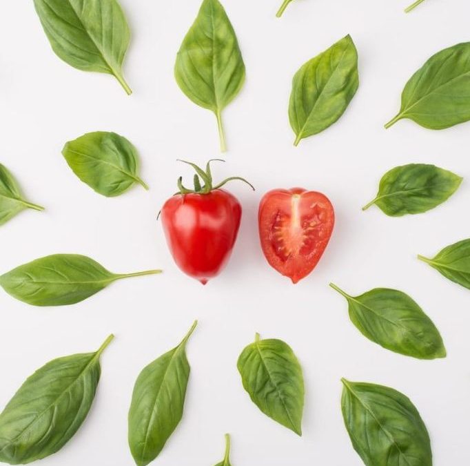 Create That Body Mindset, Plant-based Nutrition And Fitness Coaching