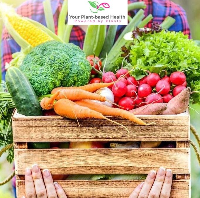 Protecting animals and the environment through plant-based diet by createthatbody.com