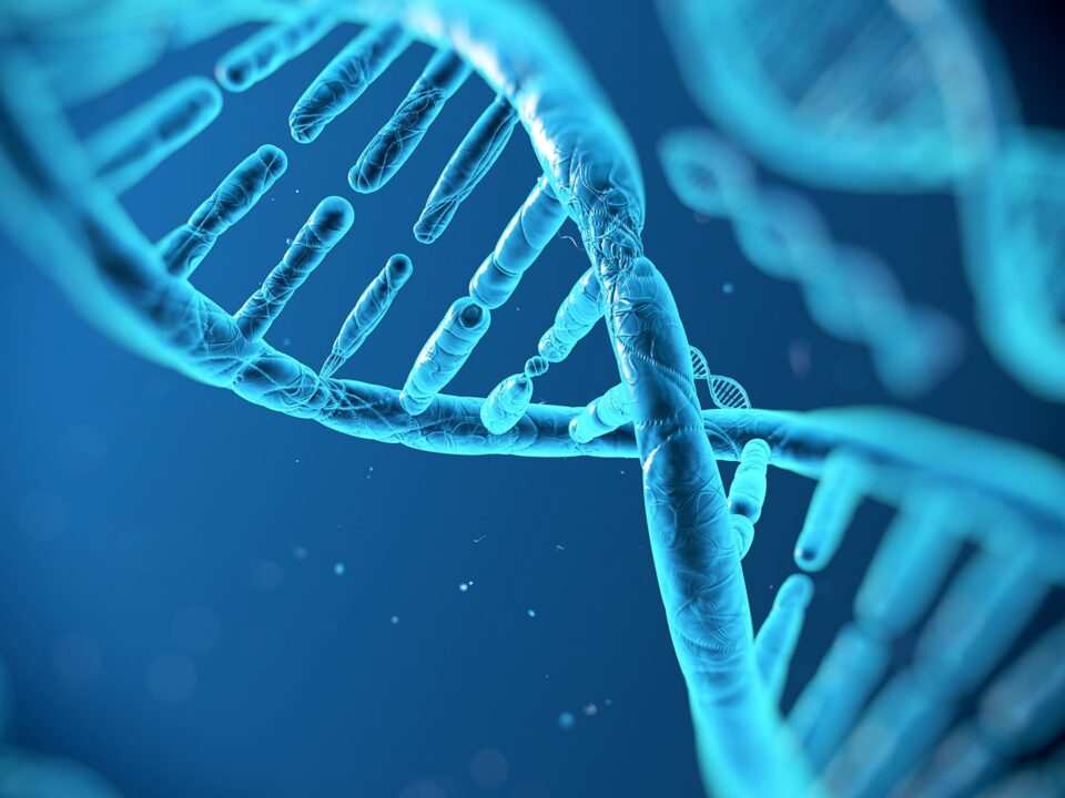 New Medical Studies Provide Insights Into Risk Factors for Disease and Longevity